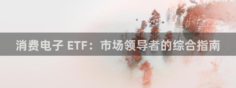 凯发k8全球公开|消费电子 ETF：市场领导者的综合指南