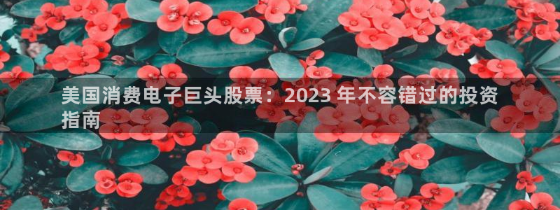 k8凯发|美国消费电子巨头股票：2023 年不容错过的投资
指南